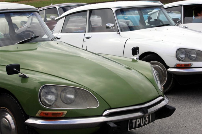 IMG_3329 _Large_.jpg